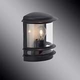 Уличный настенный светильник Brilliant Hollywood 47880/06