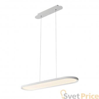 Подвесной светодиодный светильник Donolux S111025/1 L800