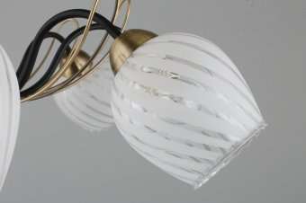 Потолочная люстра Omnilux Garda OML-65507-08