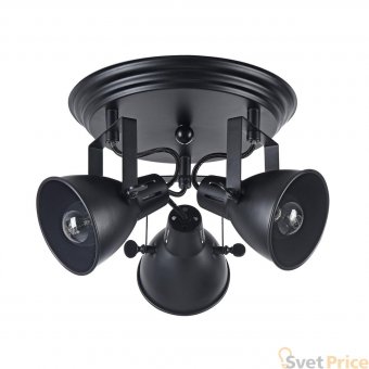 Спот Freya Ibbi FR4276-CL-03R-B