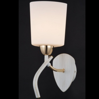Бра Maytoni Eurosize 6 Gold TOC006-01-G