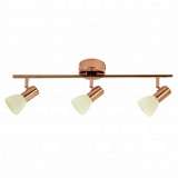 Спот Eglo Glossy 2 94738