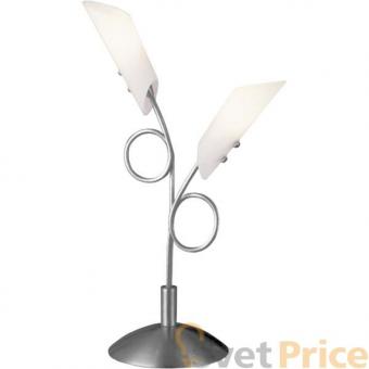 Лампа настольная N-Light TX-0032/2B