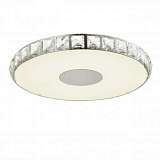 Потолочный светодиодный светильник ST Luce Impato SL821.112.01