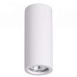 Потолочный светильник Odeon Light Gesso 3554/1C