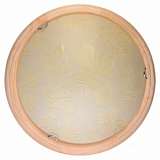Настенно-потолочный светодиодный светильник Toplight Jane TL9640Y-00PN