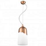 Подвесной светильник Spot Light Daga 1676113