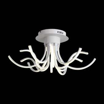 Потолочный светодиодный светильник ST Luce Finde SL826.502.12