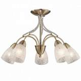 Потолочная люстра Odeon Light Mariot 2541/5C