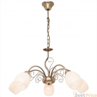 Подвесная люстра Silver Light Aimi 139.53.5