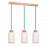 Подвесной светильник Spot Light Bosco 1713374