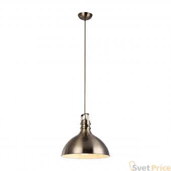 Подвесной светильник Arte Lamp A1102SP-1AB