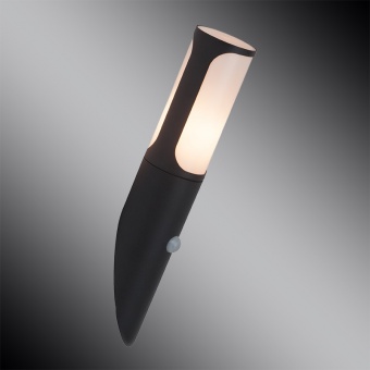 Уличный настенный светильник Brilliant Gap 43597/63