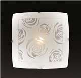 Потолочный светильник Sonex Pavia 1229