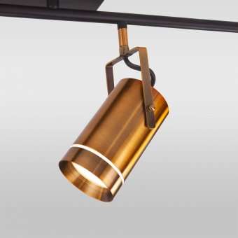 Трековая светодиодная система Eurosvet Bronze 20063/6 Led