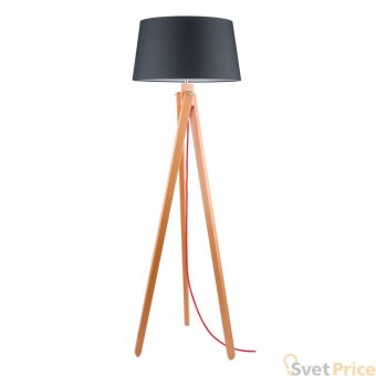 Торшер Spot Light Rune 6224631
