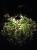 Уличный светильник LD-Lighting LD-P104