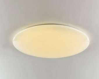 Потолочный светодиодный светильник F-Promo Luna 2319-10C