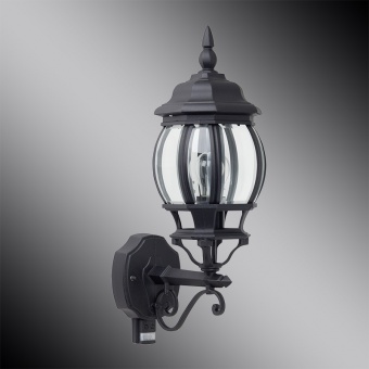 Уличный настенный светильник Brilliant Istria 48697/06