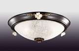 Потолочный светильник Odeon Light Bone 2693/3C