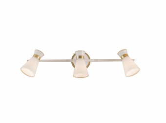 Спот Citilux Грейс CL528532