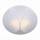 Накладной светильник ST Luce Tonico SL360.552.04