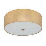 Потолочный светильник Eglo Viserbella 97642