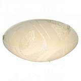 Потолочный светодиодный светильник Globo Noir I 48206-12