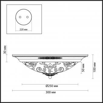 Потолочный светильник Odeon Light Corbea 2670/2C