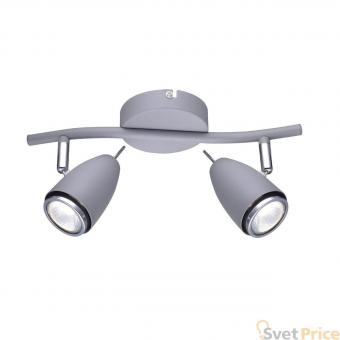 Спот Arte Lamp Regista A1966AP-2GY