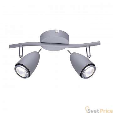 Спот Arte Lamp Regista A1966AP-2GY
