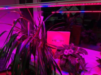 Мебельный светодиодный светильник Kreonix KCL-30-10W-IP40/CW 4873