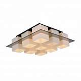 Потолочная люстра ST Luce Solido SL540.502.09