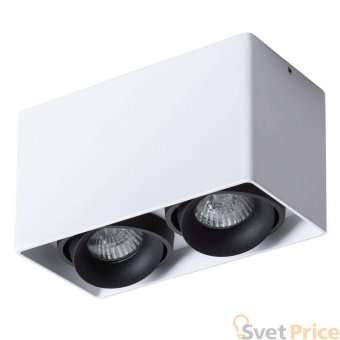 Потолочный светильник Arte Lamp Pictor A5654PL-2WH