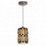 Подвесной светильник Lussole Lgo LSN-1106-01