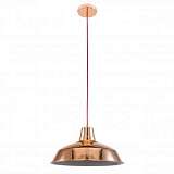 Подвесной светильник Spot Light Bristol 9708112