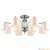 Потолочная люстра Omnilux Alghero OML-64707-12 страна Китай Потолочная люстра Omnilux Alghero OML-64707-12