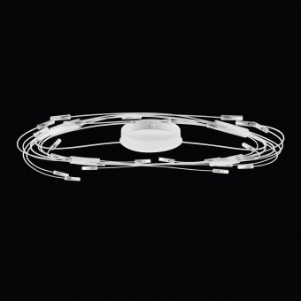 Потолочный светильник Lightstar Ovale 784246