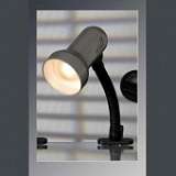 Настольная лампа Lussole Sofia LST-4964-01