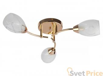 Потолочная люстра Toplight Lucy TL7120X-03FG