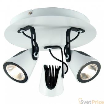 Спот Lussole Loft LSN-4101-03