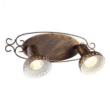 Спот Arte Lamp Focus A5219AP-2BR