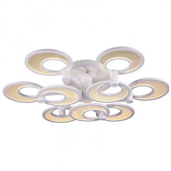 Потолочный светодиодный светильник ST Luce Nola SL898.502.09