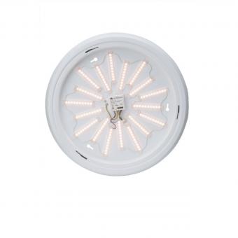 Потолочный светильник Brilliant Vigor G94154/05