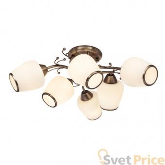Потолочная люстра Silver Light Verbena 501.53.6