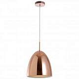 Подвесной светильник Spot Light Mads 1621113