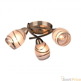 Потолочная люстра Toplight Polly TL3720X-03AB