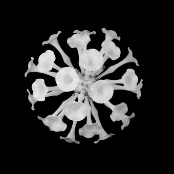 Бра Osgona Bardano 891656