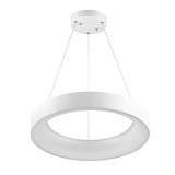 Подвесной светодиодный светильник Odeon Light Sole 4062/50L