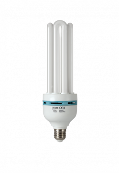 4U 220-240V 65W 6500K E27